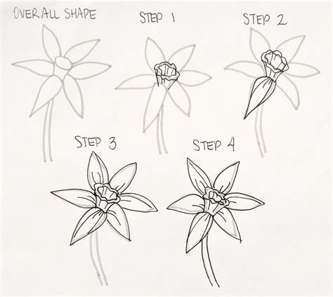 how do you draw a flower step by step|how to draw basic flowers.